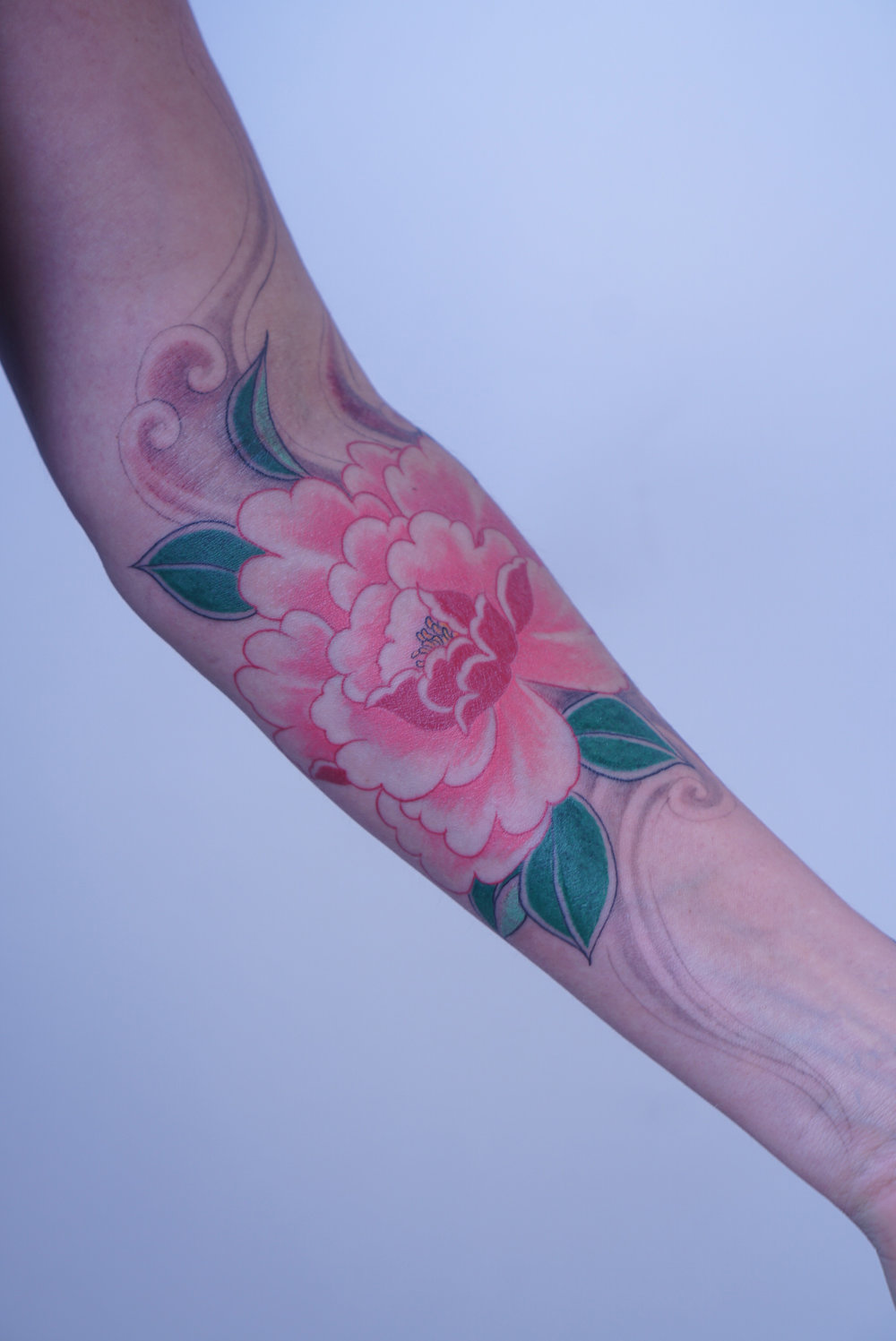 DSC01128 (1) copy.jpg